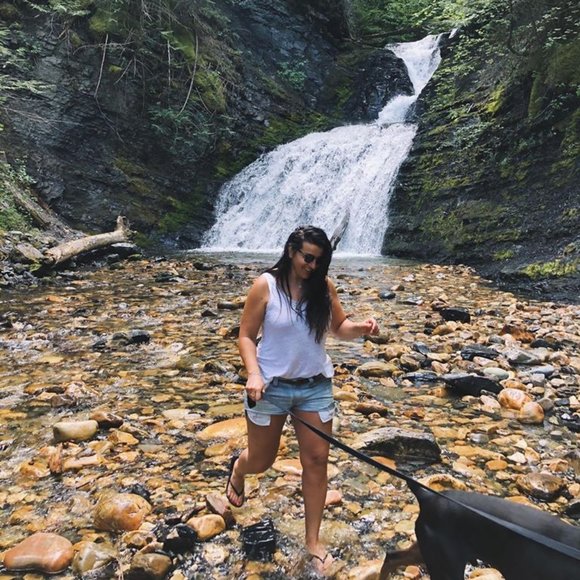 The Spitfire - Picture 14 of 14